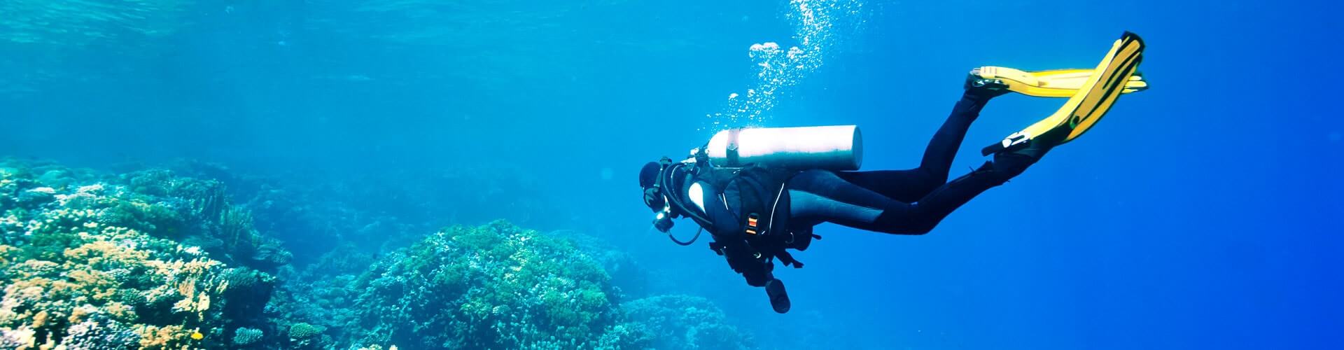 scuba diving vacations | best scuba diving vacation packages